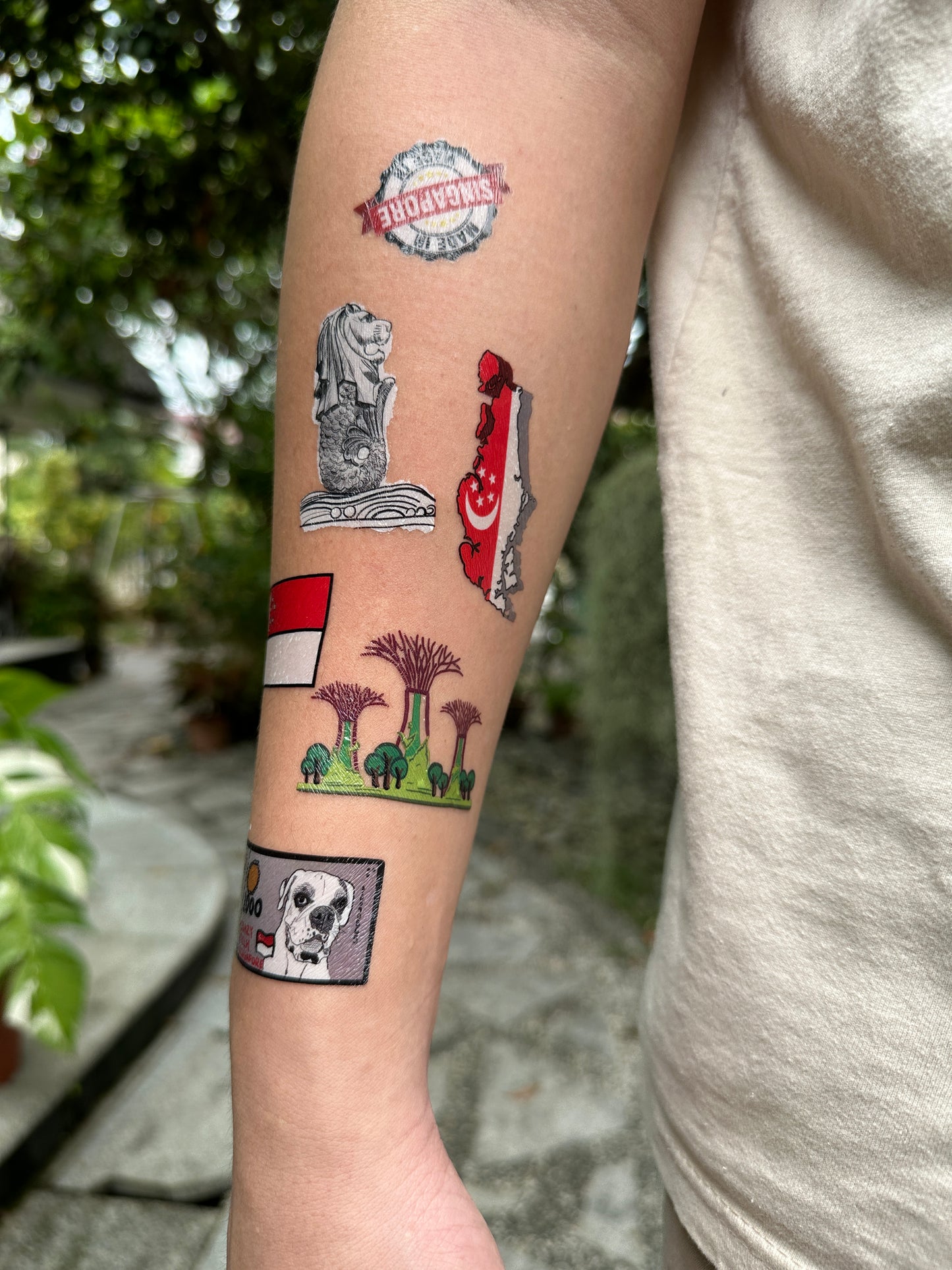 Present | NDP tattoo 2025