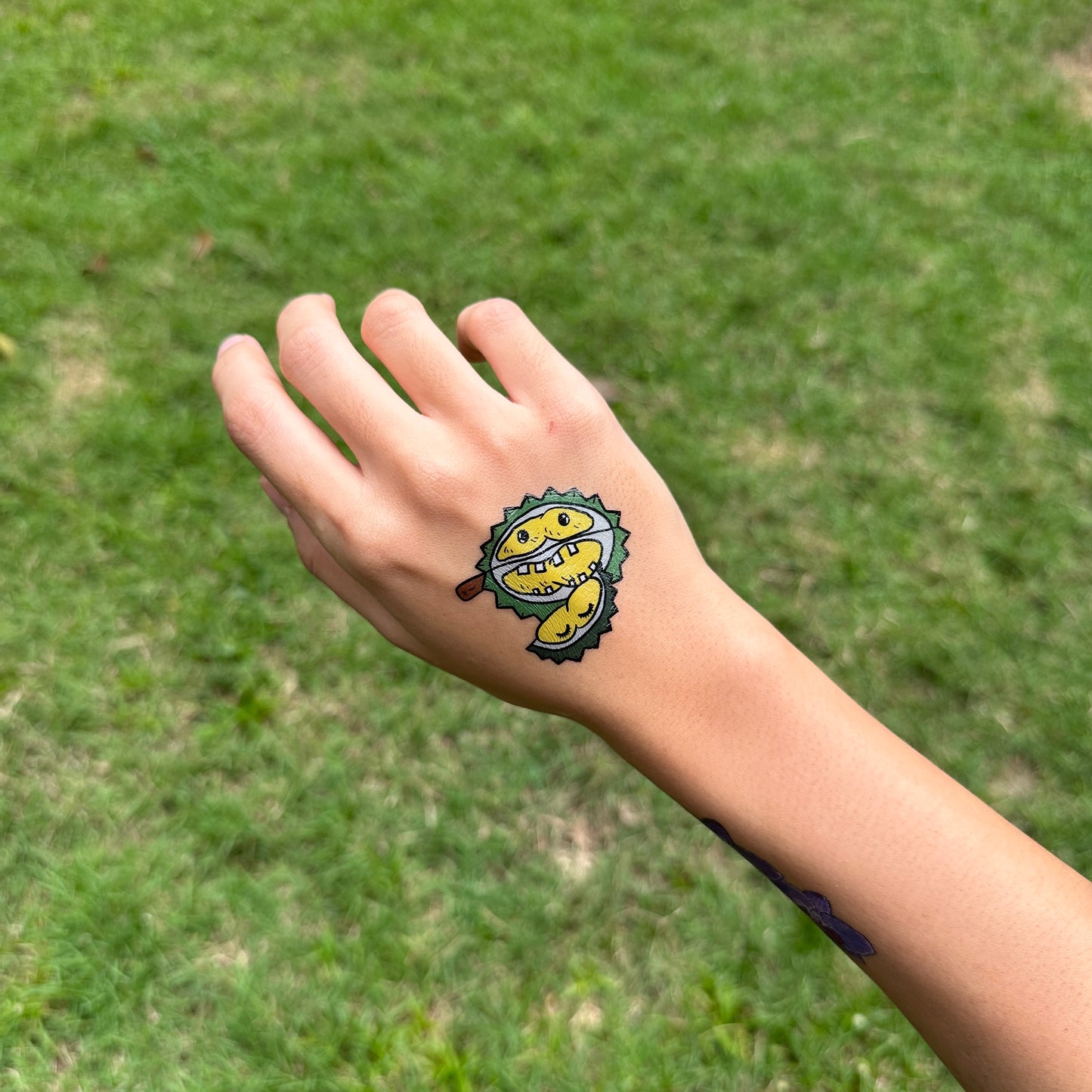Garden City | NDP tattoo 2025